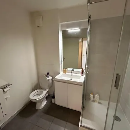 Avec Parking Gratuit Toulouse