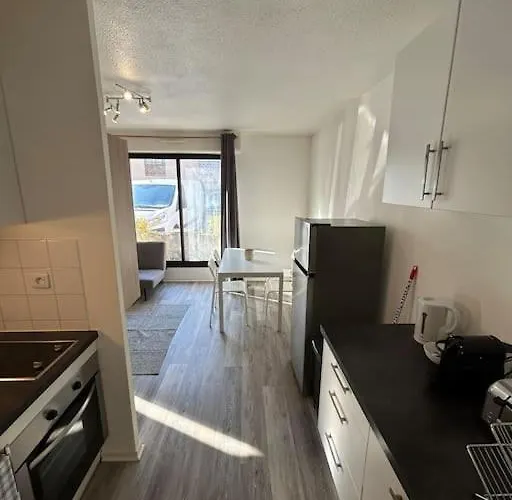 Avec Parking Gratuit 公寓 *